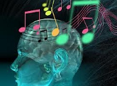 Creierul muzical