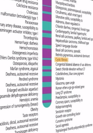 gena fibrozei chistice
