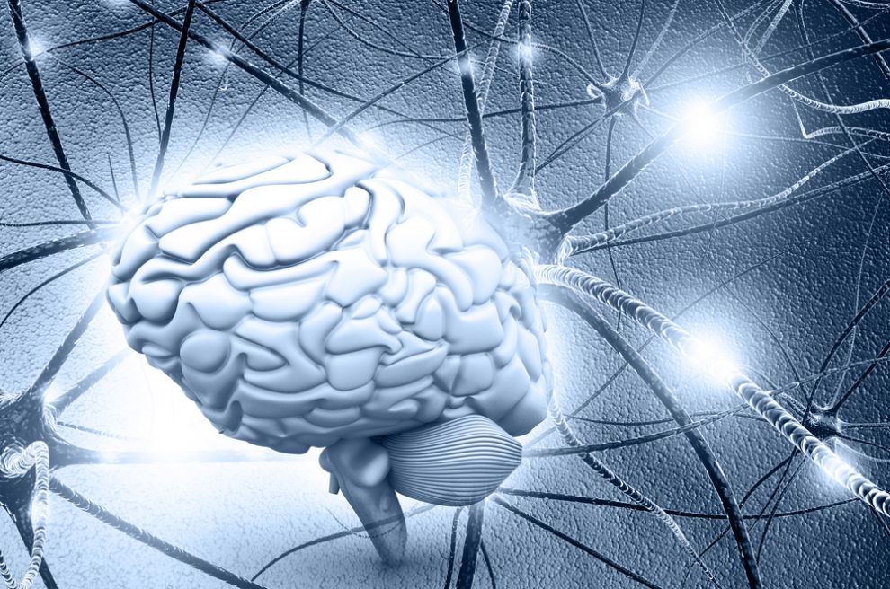 Trei mituri cu privire la cum funcționează creierul uman