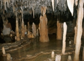 Stalactice si stalagmite