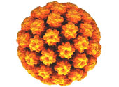 Virusul hpv