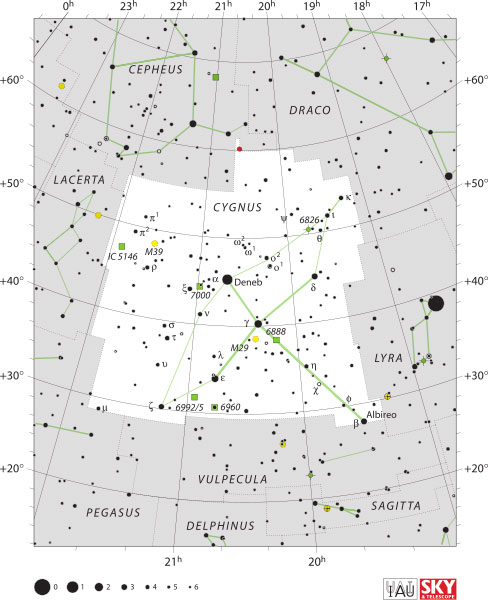 Constelaţia Cygnus