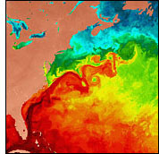 Harta temperaturilor Coasta de Est