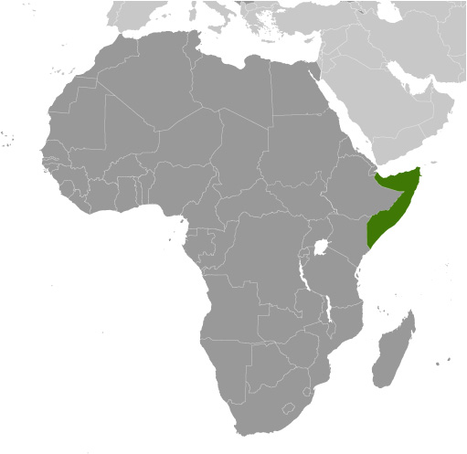Somalia Localizare geografica