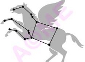 Constelatia Pegasus