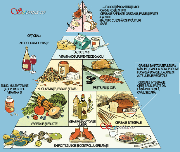 Piramida alimentara