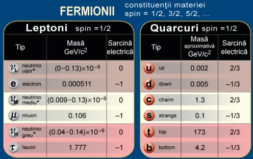 fermionii in modelul standard