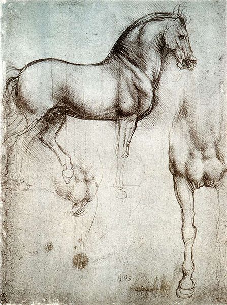 Leonardo da Vinci, Studiu asupra calului