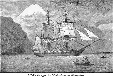 Beagle în Strâmtoarea Magellan