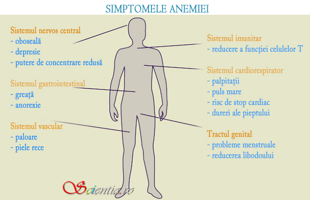 Tipuri de anemii