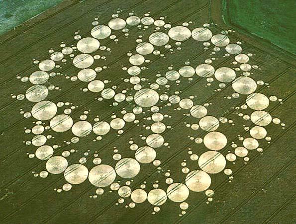 Cercuri in lanuri de cereale