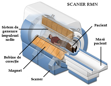 scaner RMN