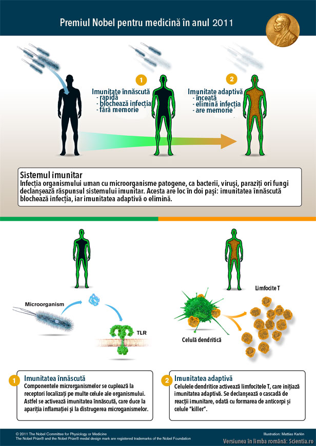Premiul Nobel pentru medicină 2011 sistemul imunitar