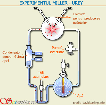 Experimentul Miller-Urey