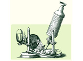 Microscopul lui Robert Hooke