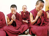 Călugări tibetani meditând