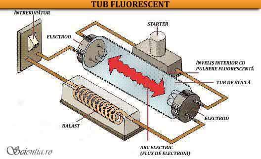 Tub Fluorescent
